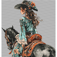 Country music-CM-1167